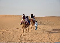 Abu Dhabi desert safari