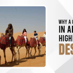 Why A Camel Ride in Abu Dhabi Is The Highlight of Any Desert Safari