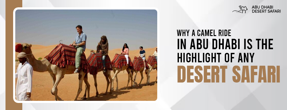 Why A Camel Ride in Abu Dhabi Is The Highlight of Any Desert Safari